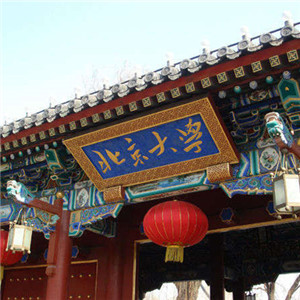 2007年北京大學項目